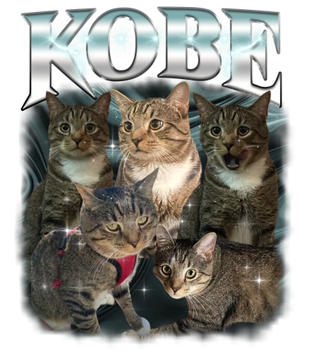 Kobe 10.png