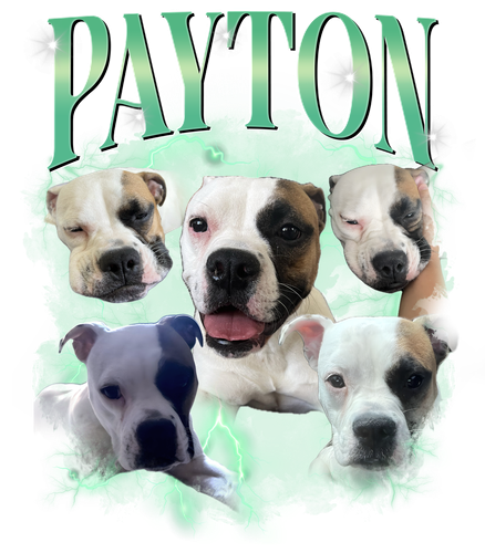 payton.png
