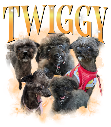 Twiggy 3 yellow orange + 1.png