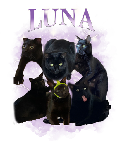 Luna 3111538367.png
