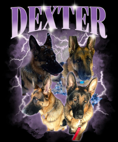 dexter.jpg