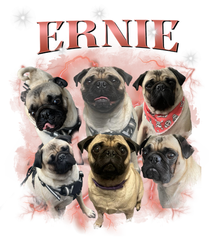 ERNIE.png