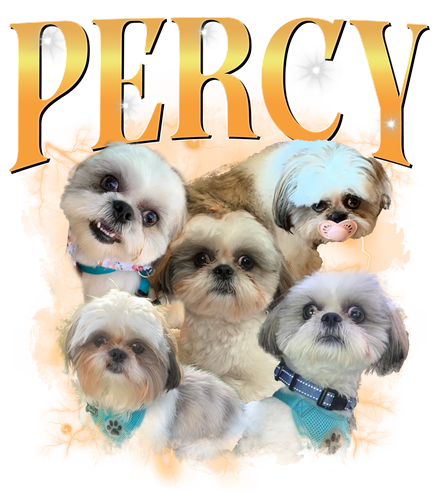 PERCY.png