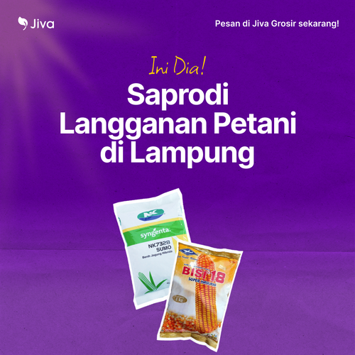 Square 2023 12 08T130724.883.png