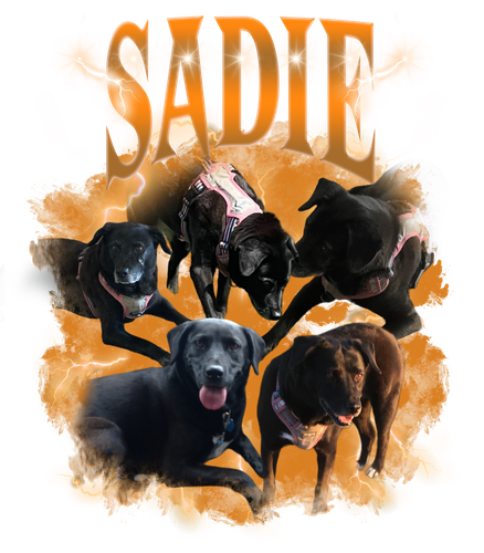 SADIE + 2 + 2.png