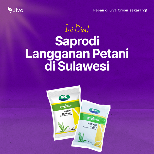 Square 2023 12 08T130021.967.png