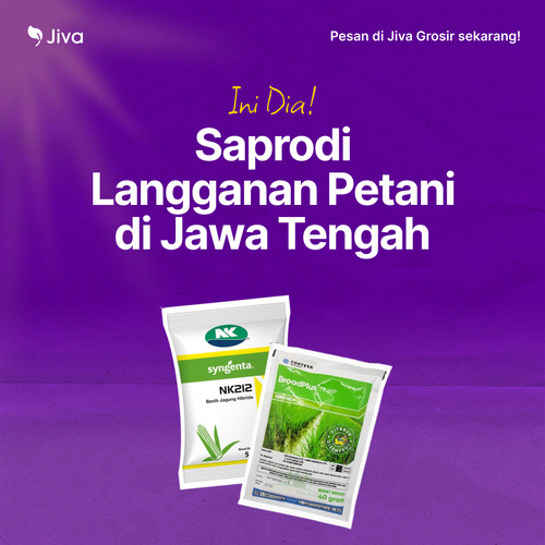 Square 2023 12 08T131027.149.png