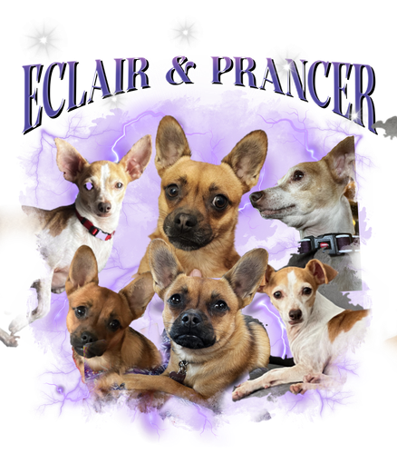 eclair and prancer.png