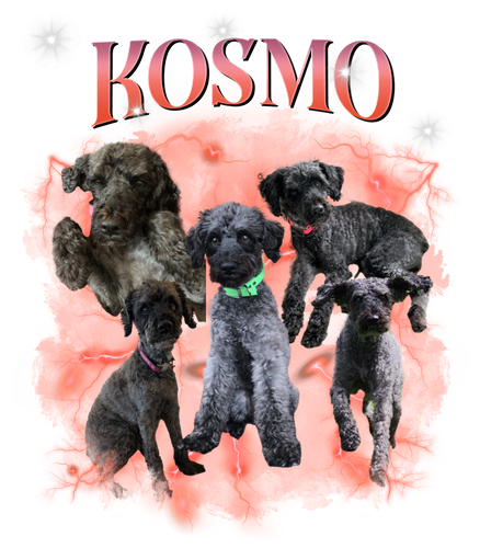 kosmo.png