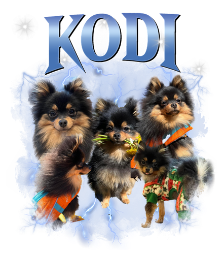 kodi.png