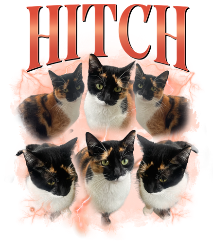 3118449250.png