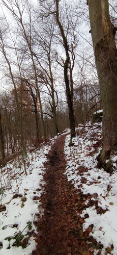 IMG 20231207 103935.jpg