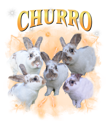 churro.png