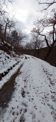 IMG 20231207 134304.jpg