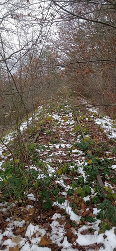 IMG 20231207 114347.jpg