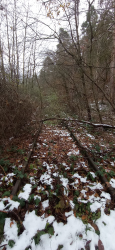 IMG 20231207 115151.jpg