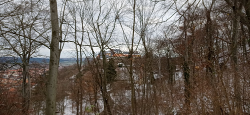 IMG 20231207 134142.jpg
