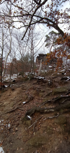 IMG 20231207 131327.jpg
