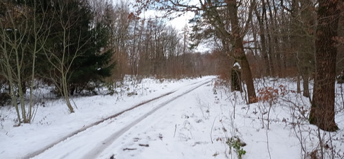 IMG 20231207 150836.jpg