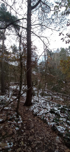 IMG 20231207 120102.jpg