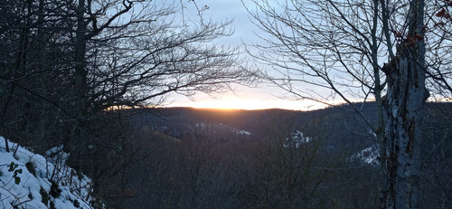 IMG 20231207 154433.jpg