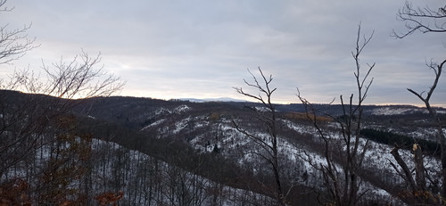 IMG 20231207 152545.jpg