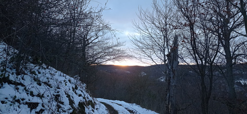 IMG 20231207 154428.jpg