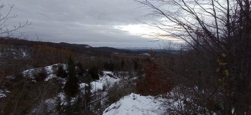 IMG 20231207 155129.jpg