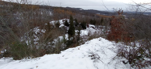 IMG 20231207 155112.jpg