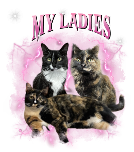 my ladies.png
