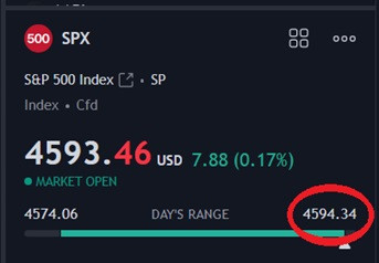 tsla 8223.jpg