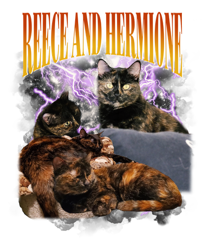 3110486907.png