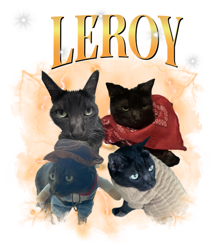 leroy.png