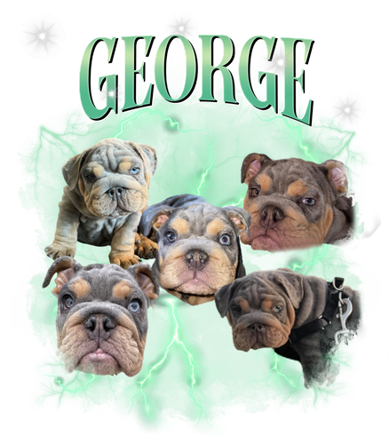 george.png