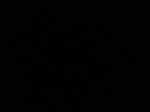 scaled 6b0a2a38 6464 487f b9df b6c75c5342f23621583026079559783.jpg