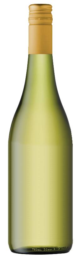 Burgundy Style Bottle.jpg