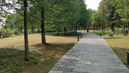 IMG 20171001 133627.jpg
