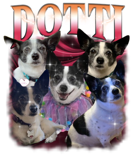 Dotti 2.png