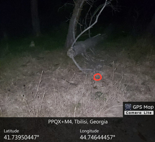 IMG 20231206 013144 208.jpg