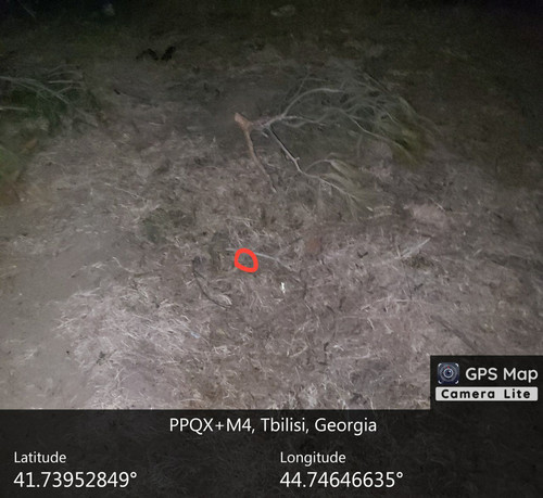 IMG 20231206 013142 845.jpg