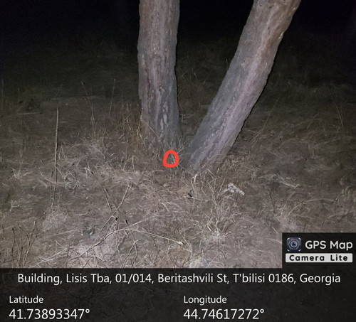 IMG 20231206 013017 183.jpg