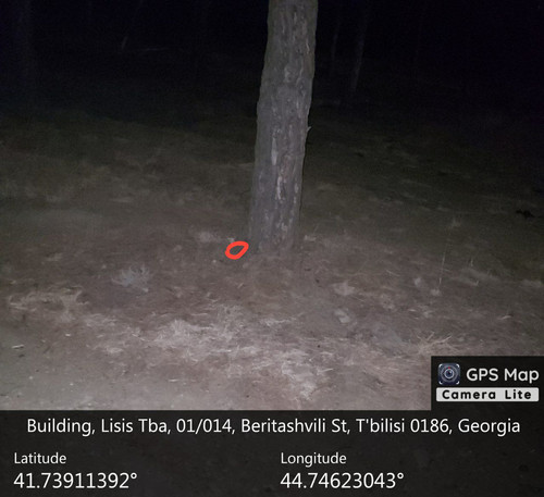 IMG 20231206 013009 218.jpg