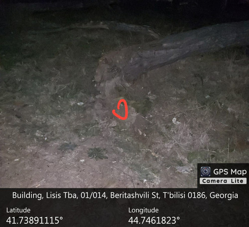 IMG 20231206 013013 944.jpg