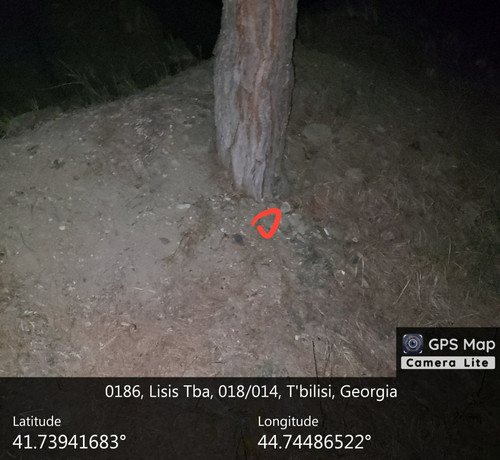 IMG 20231206 013628 485.jpg