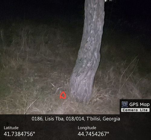 IMG 20231206 013621 253.jpg