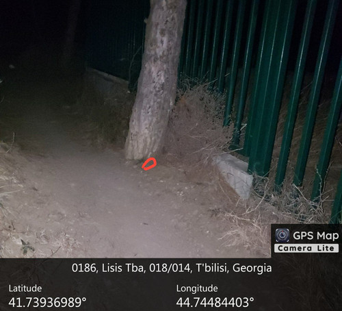 IMG 20231206 013627 005.jpg