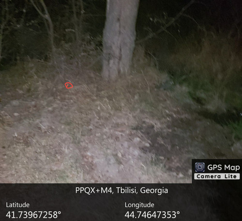 IMG 20231206 014005 815.jpg