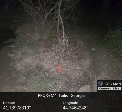 IMG 20231206 014019 222.jpg