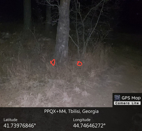 IMG 20231206 014009 651.jpg