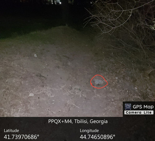 IMG 20231206 014004 081.jpg